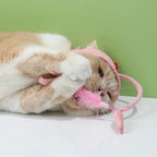 Cat Toy Hands-Free Feather Teaser Adjustable Fit