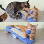 Cat Toy Interactive Ball Track & Scratch Board