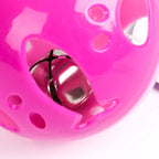 Cat Toy Interactive Bell Ball Pet-Safe