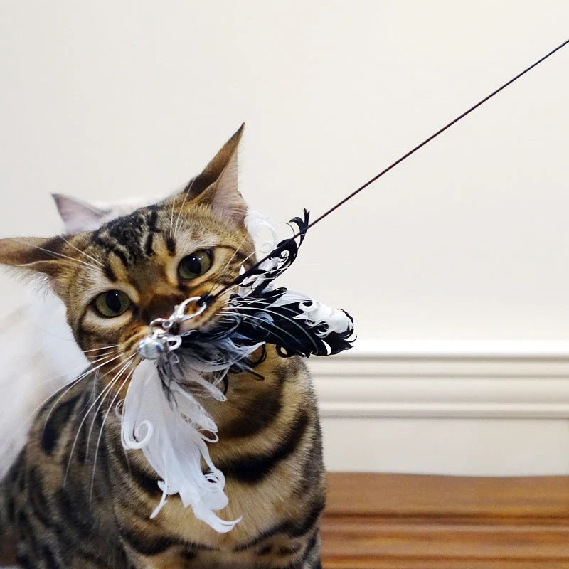 Cat Toy Interactive Feather Wand 24 Inch