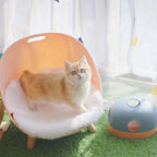 Cat Toy Interactive Multiple Play Modes Non-Toxic