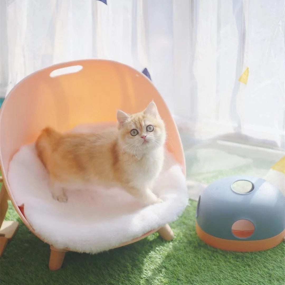 Cat Toy Interactive Multiple Play Modes Non-Toxic