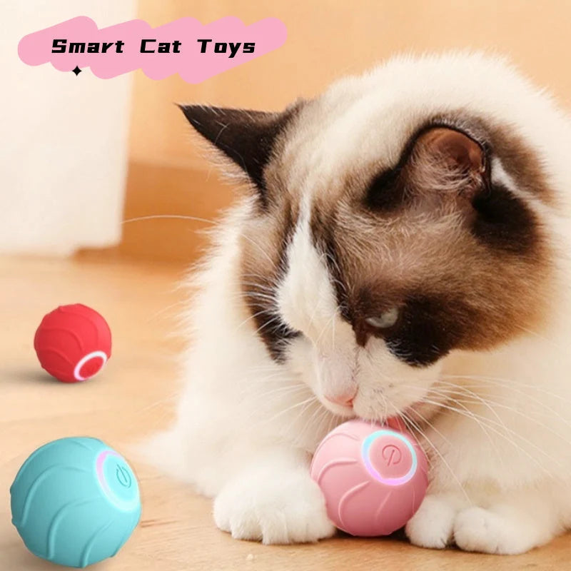 Cat Toy Interactive Silicone Rolling Ball