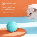 Cat Toy Interactive Silicone Rolling Ball