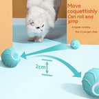 Cat Toy Interactive Silicone Rolling Ball