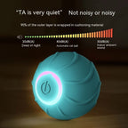 Cat Toy Interactive Silicone Rolling Ball