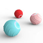 Cat Toy Interactive Silicone Rolling Ball
