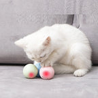 Cat Toy Interactive Sound Non-Toxic & Bite-Resistant