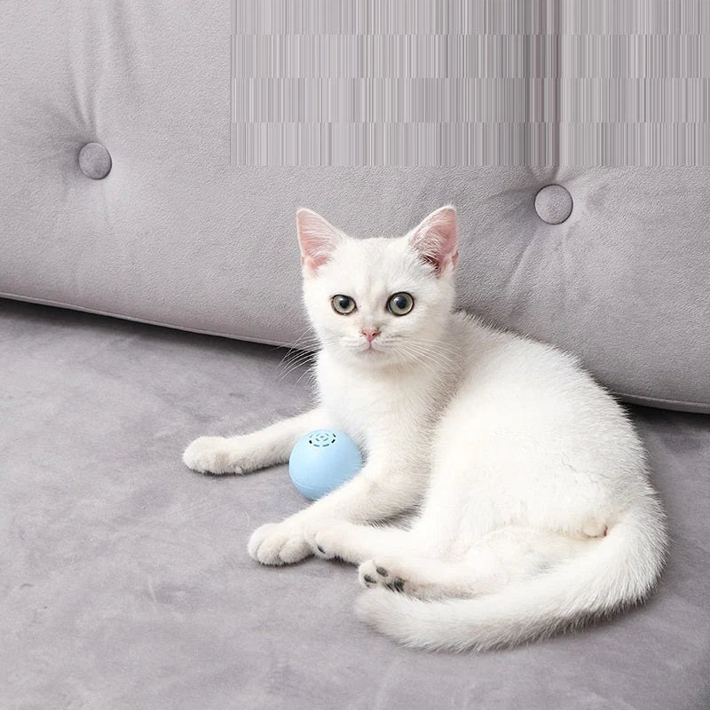 Cat Toy Interactive Sound Non-Toxic & Bite-Resistant