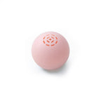 Cat Toy Interactive Sound Non-Toxic & Bite-Resistant