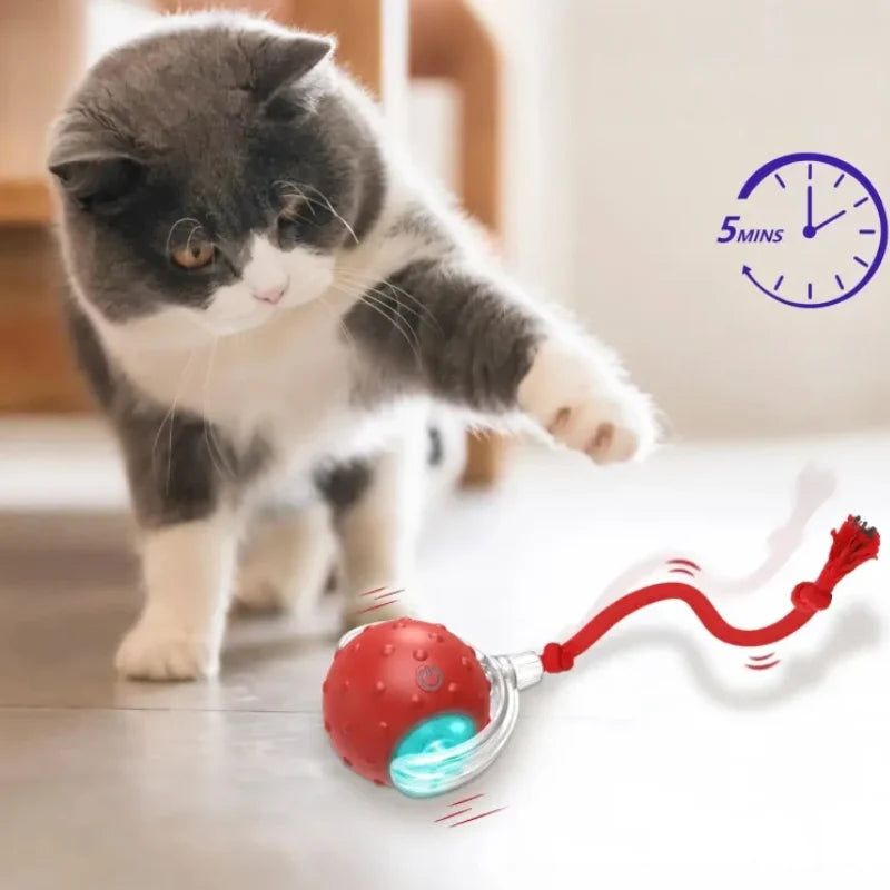 Cat Toy Motion Sensor Chirping Ball