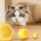 Cat Toy Rechargeable Interactive Bite-Resistant Silicone