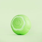 Cat Toy Rechargeable Interactive Bite-Resistant Silicone