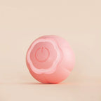 Cat Toy Rechargeable Interactive Bite-Resistant Silicone