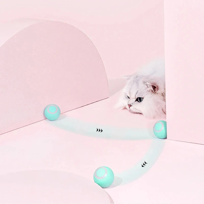 Cat Toy Remote Control Sports Car USB Rechargeable