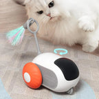 Cat Toy Remote Control Sports Car USB Rechargeable