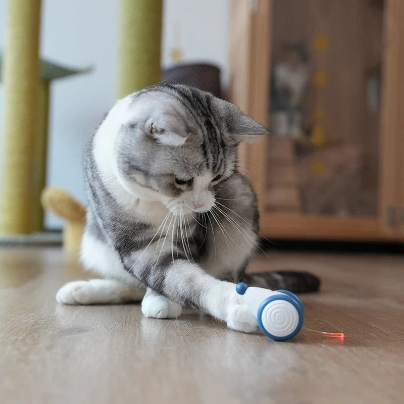 Cat Toy Rolling Mouse USB Rechargeable
