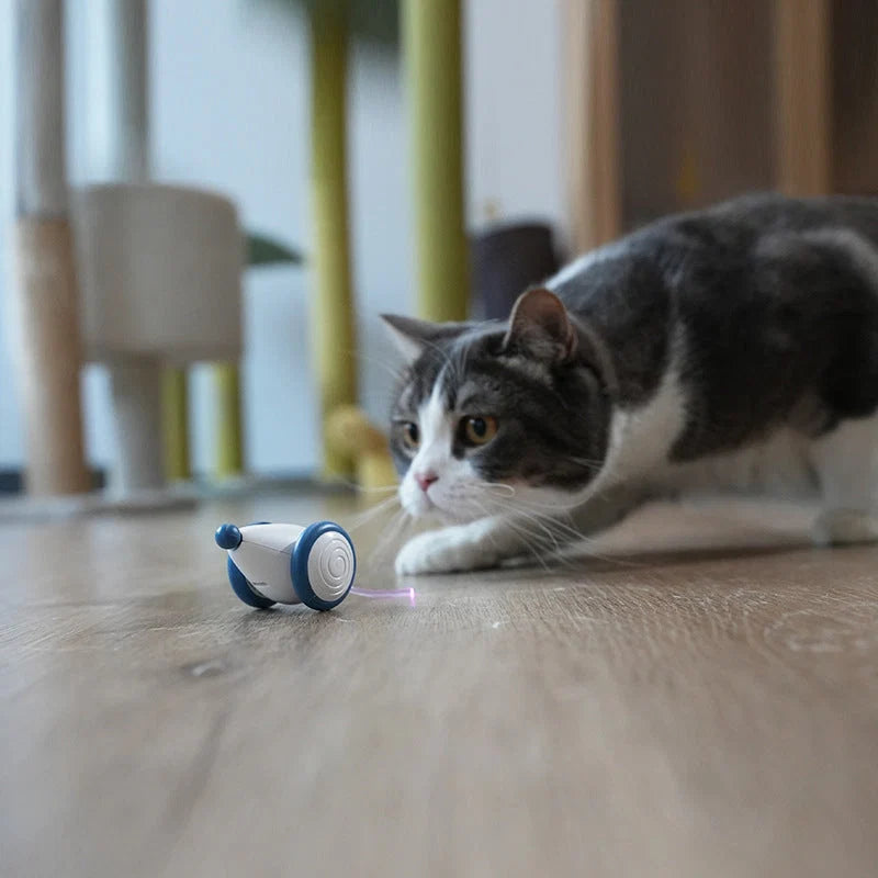 Cat Toy Rolling Mouse USB Rechargeable
