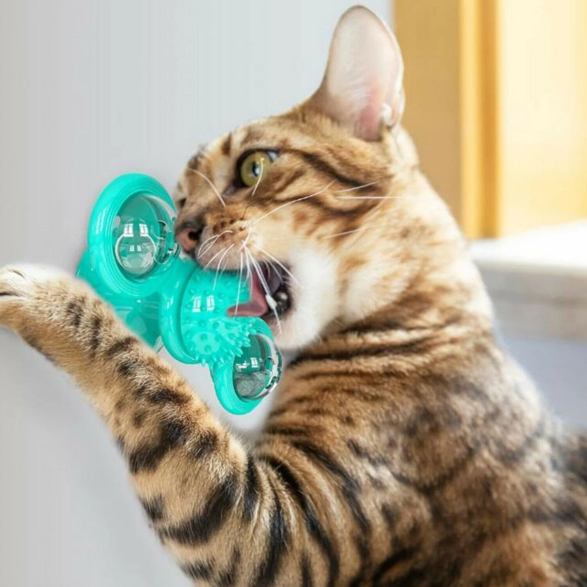 Cat Toy Rotating Windmill Motion-Activated LED Dental Care