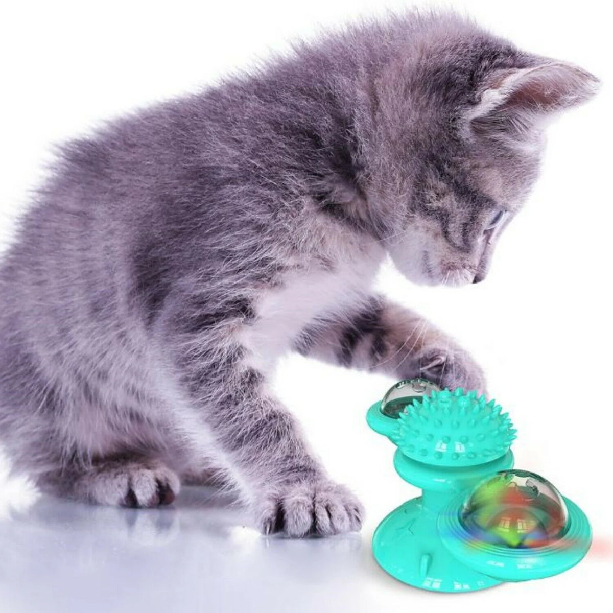 Cat Toy Rotating Windmill Motion-Activated LED Dental Care