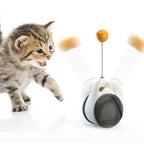 Cat Toy Self-Swinging No Batteries