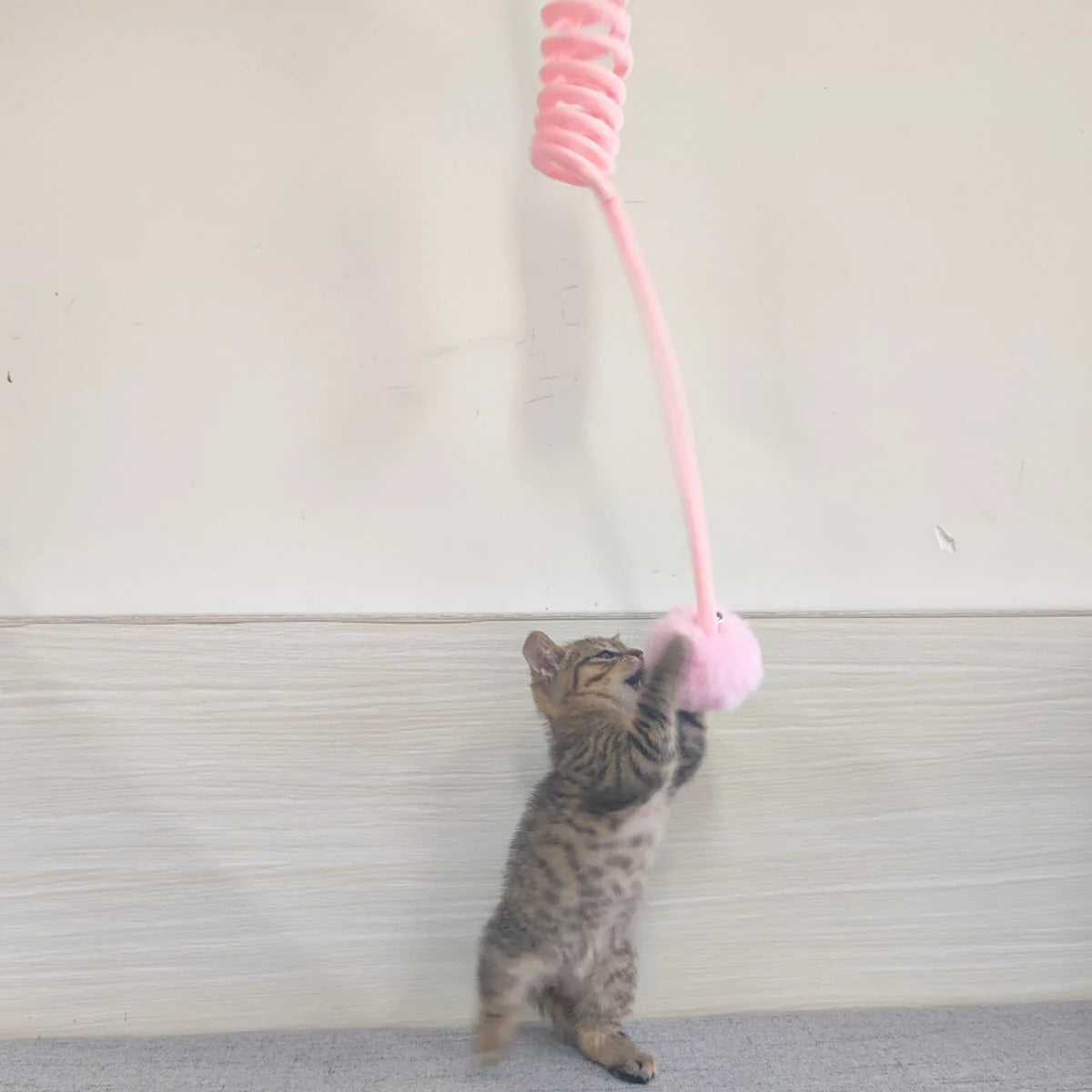 Cat Toy Spring Action & Soft Plush