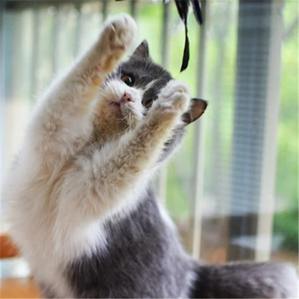 Cat Toy Telescopic Wand 80cm Reach Interchangeable Heads