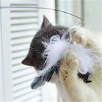 Cat Toy Telescopic Wand 80cm Reach Interchangeable Heads