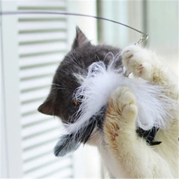 Cat Toy Telescopic Wand 80cm Reach Interchangeable Heads