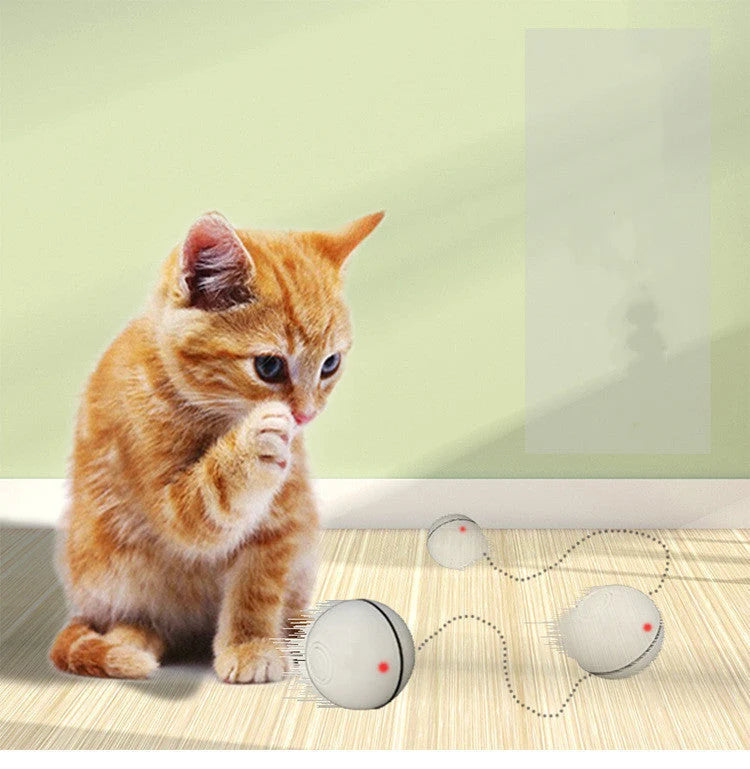 Cat Toy USB Rechargeable LED Rolling Ball Auto Off