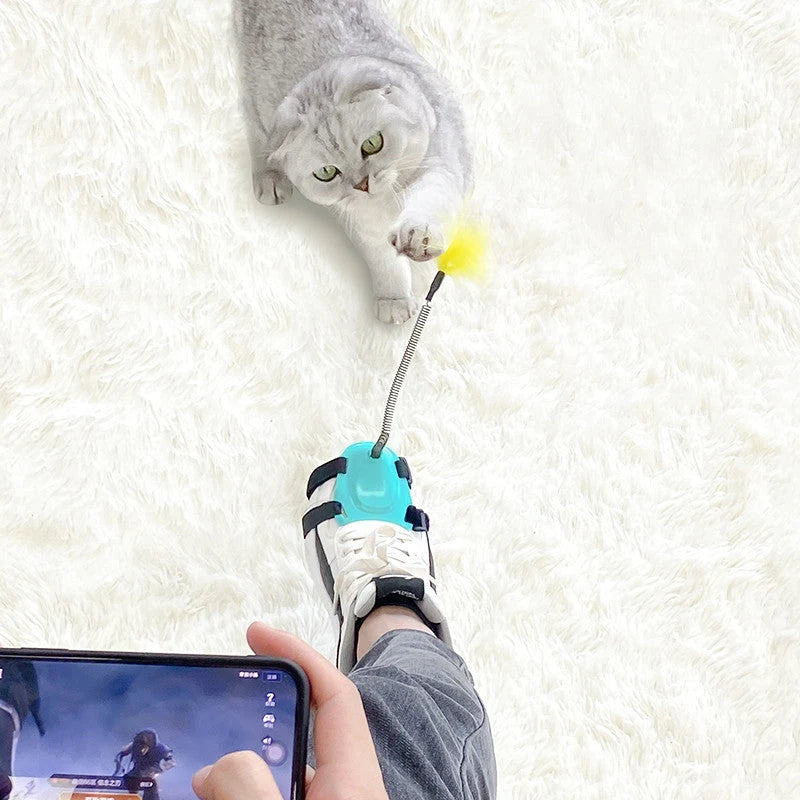 Cat Wand Detachable Feather Teaser