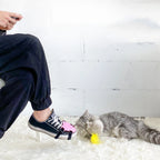 Cat Wand Detachable Feather Teaser