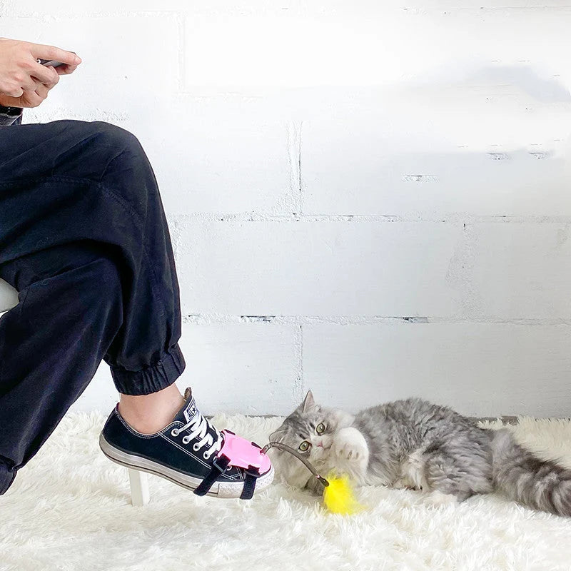 Cat Wand Detachable Feather Teaser