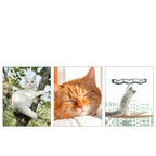Cat Window Hammock Oxford Cloth Sturdy Frame