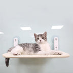 Cat Window Hammock Suction-Cup Mount Breathable Mesh & Sturdy Frame