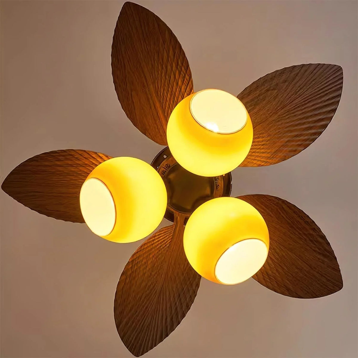 Ceiling Fan 30 Inch Glass Light & Remote