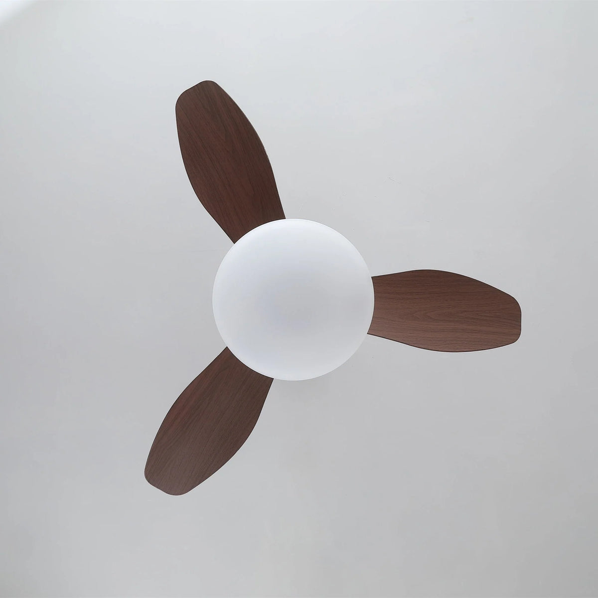 Ceiling Fan 31.5 Inch LED Light & Remote