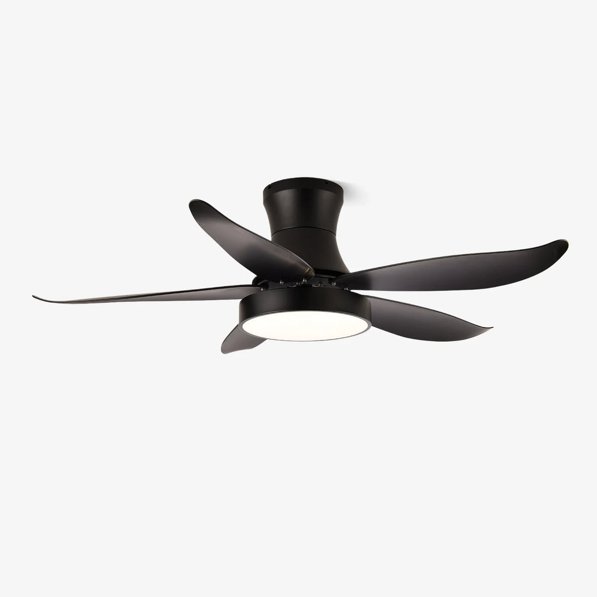 Ceiling Fan 52 Inch 24W LED Quiet Motor