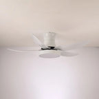 Ceiling Fan 52 Inch 24W LED Quiet Motor