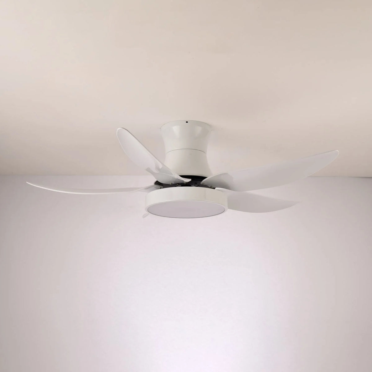 Ceiling Fan 52 Inch 24W LED Quiet Motor