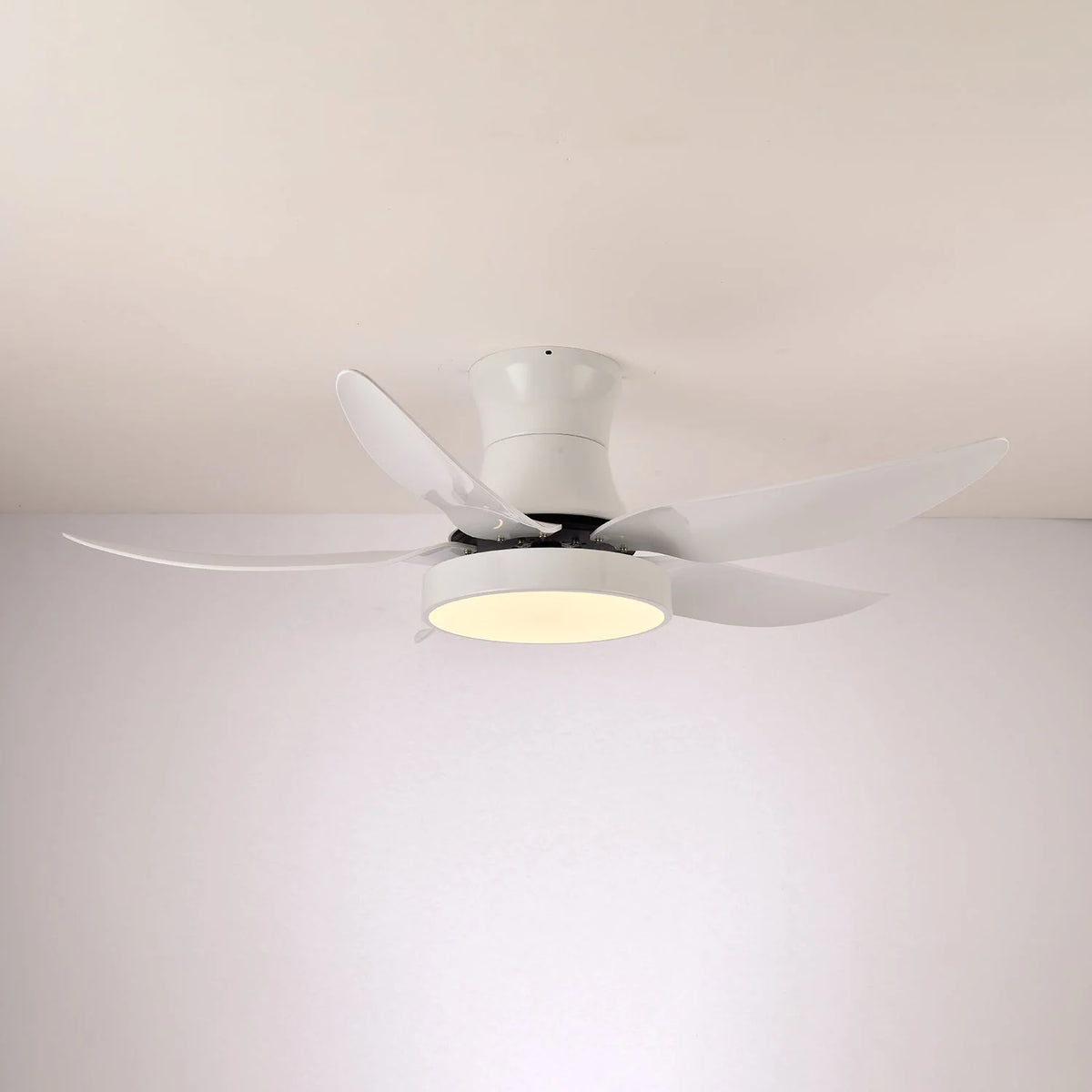Ceiling Fan 52 Inch 24W LED Quiet Motor