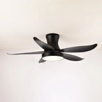 Ceiling Fan 52 Inch 24W LED Quiet Motor