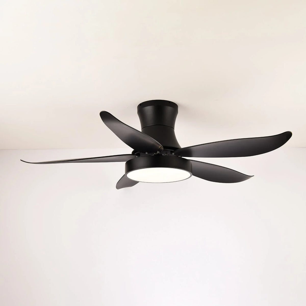 Ceiling Fan 52 Inch 24W LED Quiet Motor