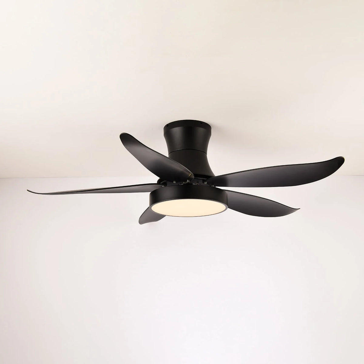 Ceiling Fan 52 Inch 24W LED Quiet Motor