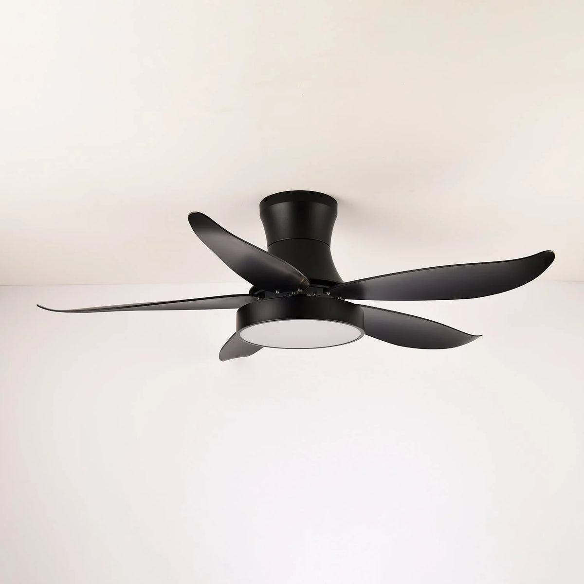 Ceiling Fan 52 Inch 24W LED Quiet Motor