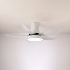 Ceiling Fan 52 Inch 24W LED Quiet Motor