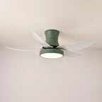 Ceiling Fan 52 Inch 24W LED Quiet Motor