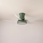 Ceiling Fan 52 Inch 24W LED Quiet Motor
