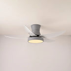 Ceiling Fan 52 Inch 24W LED Quiet Motor