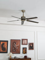 Ceiling Fan 52 Inch Quiet DC Motor Stainless Steel